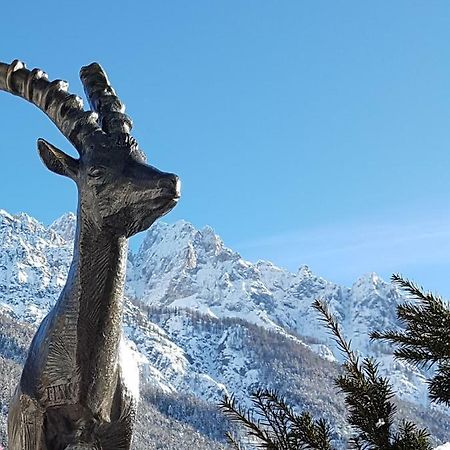 Nigritella Apartment Kranjska Gora Ngoại thất bức ảnh