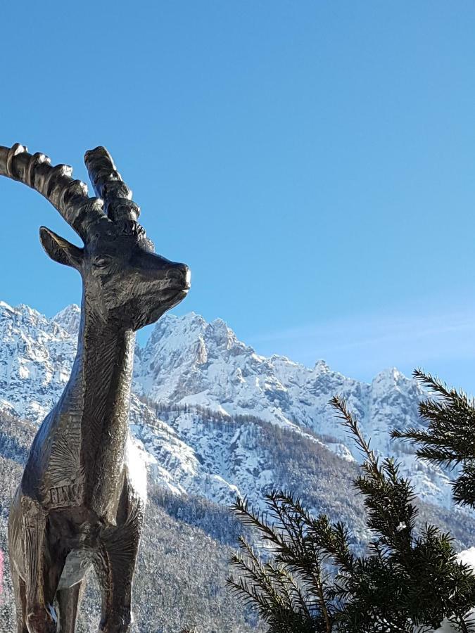 Nigritella Apartment Kranjska Gora Ngoại thất bức ảnh