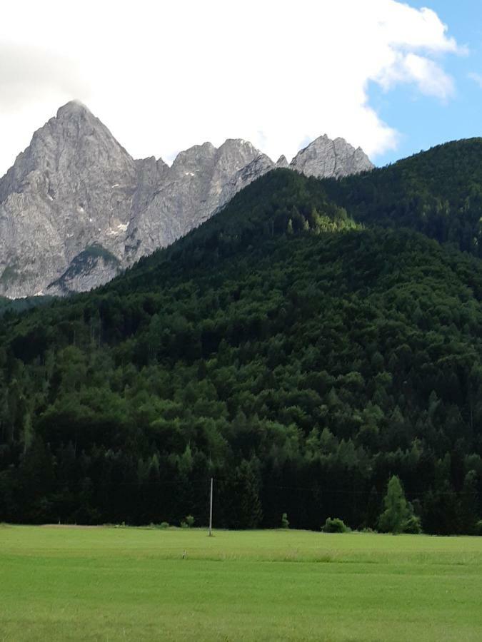 Nigritella Apartment Kranjska Gora Ngoại thất bức ảnh