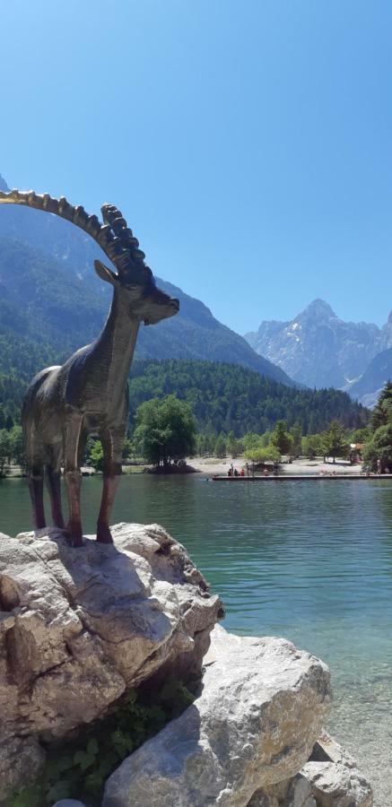 Nigritella Apartment Kranjska Gora Ngoại thất bức ảnh